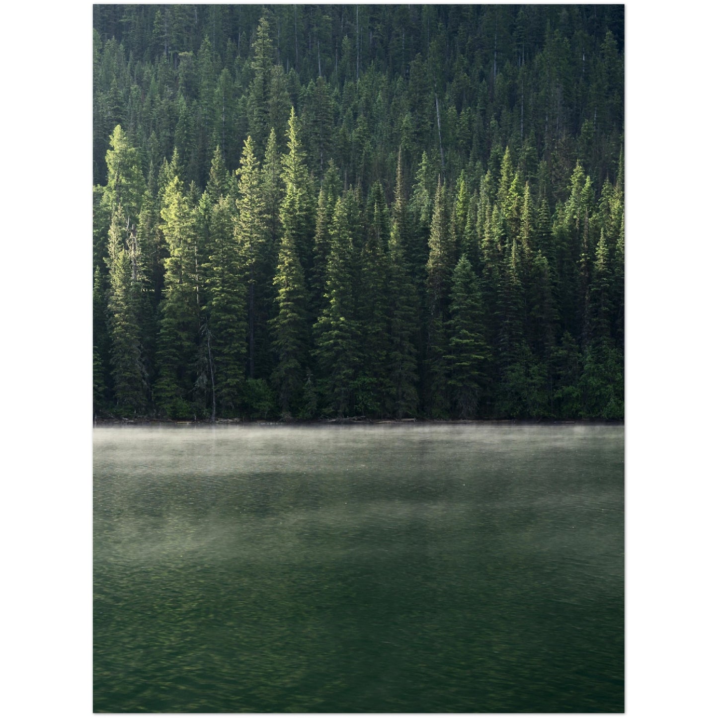 Forest & Lake Print